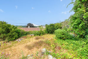 Communal Garden- click for photo gallery
